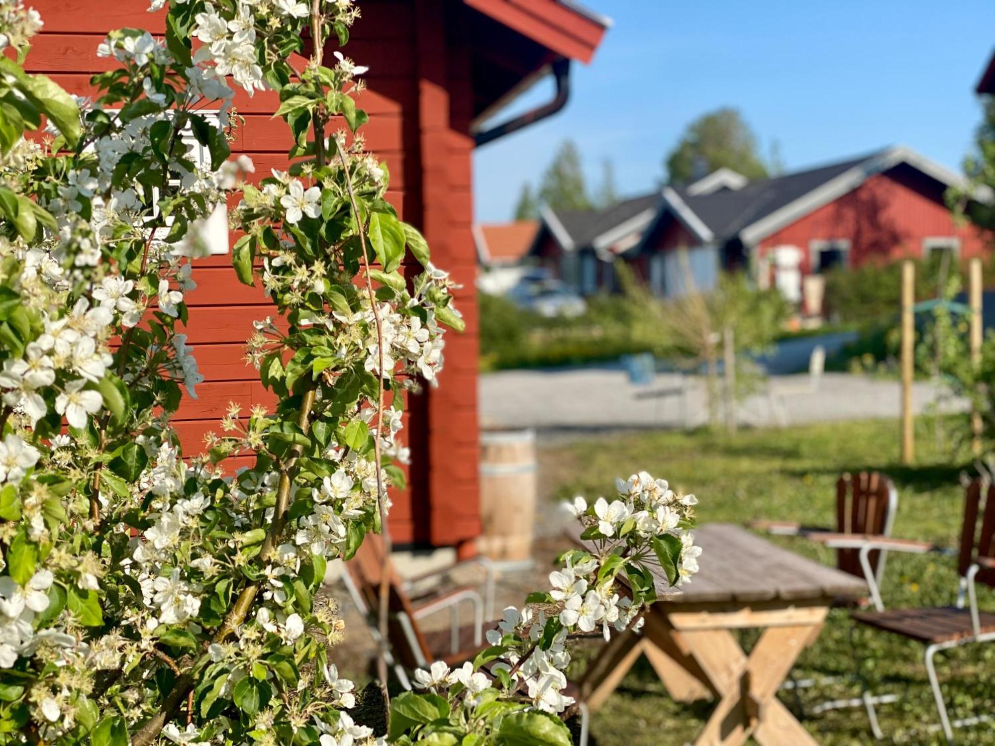 Scenic Small Guesthouse On Horse Farm By The Lake Frösö Exterior foto